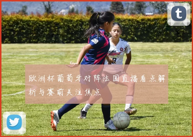 欧洲杯葡萄牙对阵法国直播看点解析与赛前关注焦点