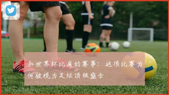 和世界杯比肩的赛事：这项比赛为何被视为足坛顶级盛会
