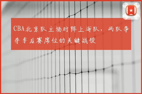 CBA北京队主场对阵上海队，两队争夺季后赛席位的关键战役