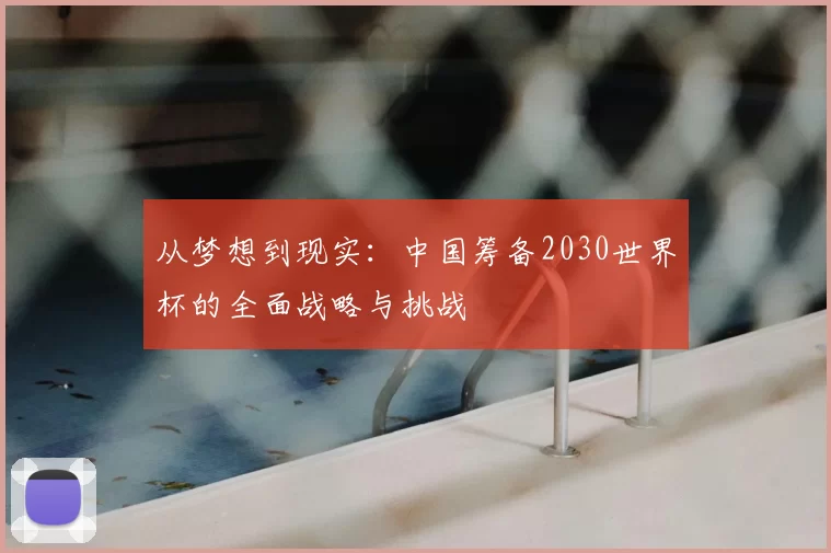从梦想到现实:中国筹备2030世界杯的全面战略与挑战
