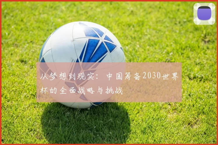 从梦想到现实：中国筹备2030世界杯的全面战略与挑战