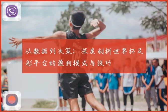 从数据到决策:深度剖析世界杯足彩平台的盈利模式与技巧