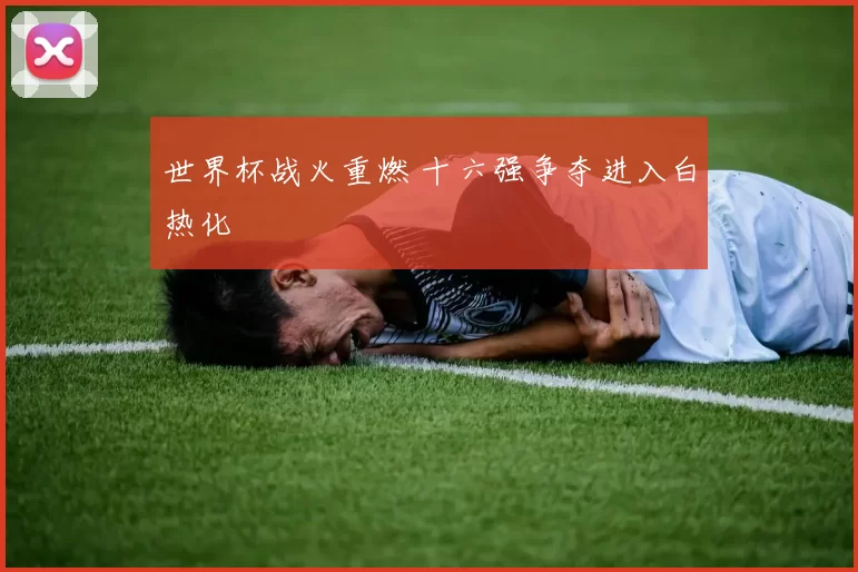 世界杯战火重燃 十六强争夺进入白热化