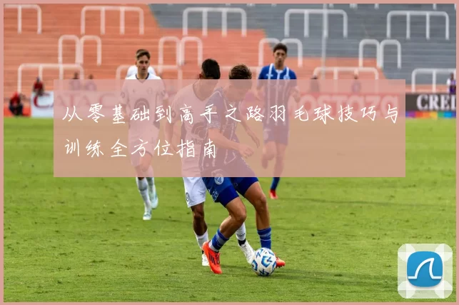 从零基础到高手之路羽毛球技巧与训练全方位指南