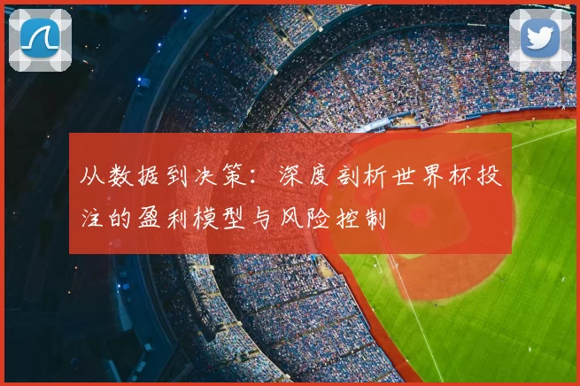 从数据到决策:深度剖析世界杯投注的盈利模型与风险控制