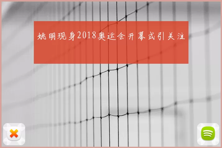 姚明现身2018奥运会开幕式引关注