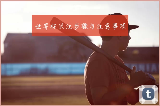 世界杯买注步骤与注意事项
