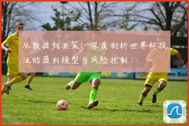 从数据到决策:深度剖析世界杯投注的盈利模型与风险控制