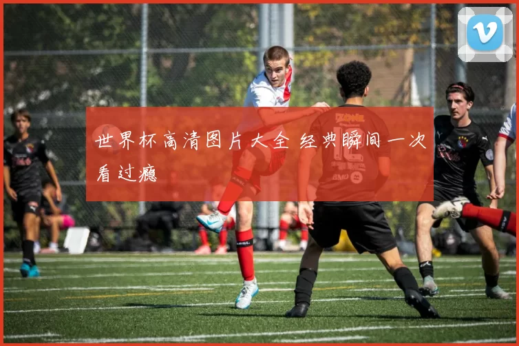 世界杯高清图片大全 经典瞬间一次看过瘾
