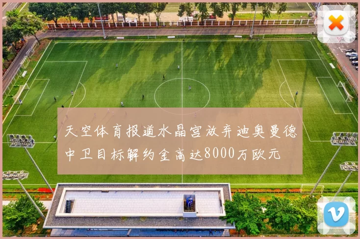 天空体育报道水晶宫放弃迪奥曼德中卫目标解约金高达8000万欧元