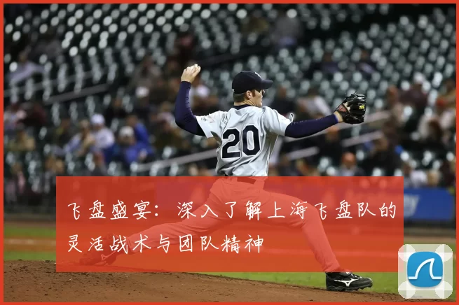 飞盘盛宴:深入了解上海飞盘队的灵活战术与团队精神