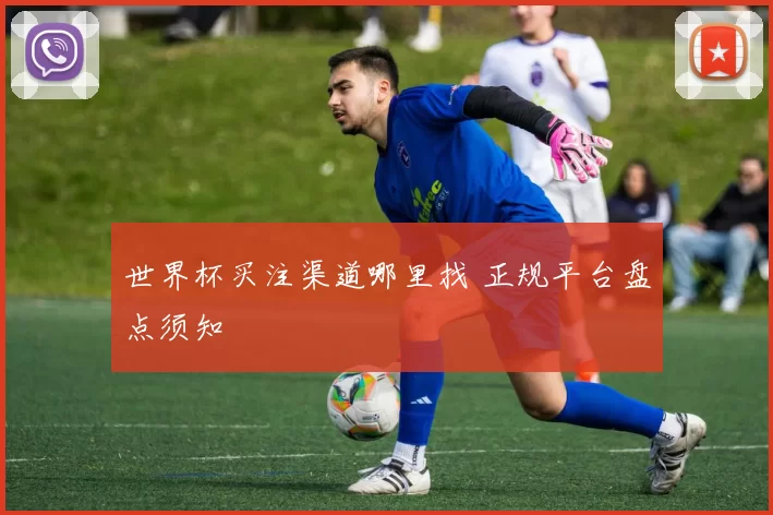 世界杯买注渠道哪里找 正规平台盘点须知