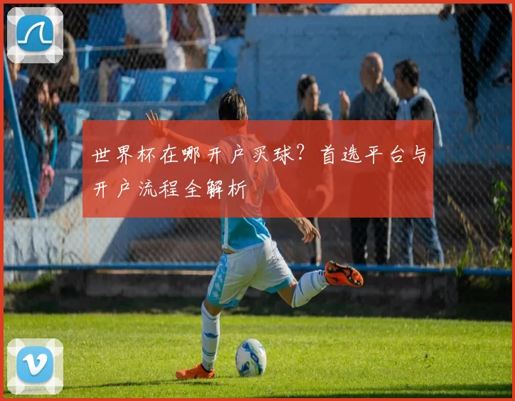 世界杯在哪开户买球？首选平台与开户流程全解析