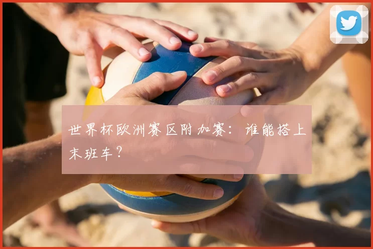 世界杯欧洲赛区附加赛：谁能搭上末班车？
